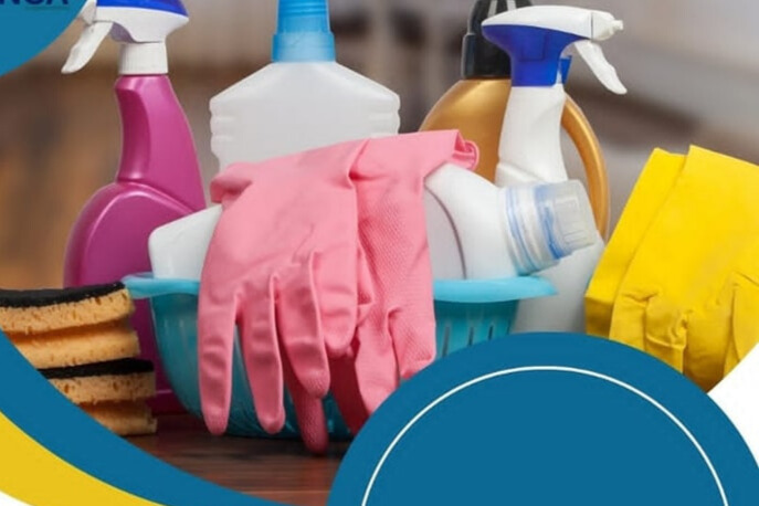 Multi-Surface Cleaner